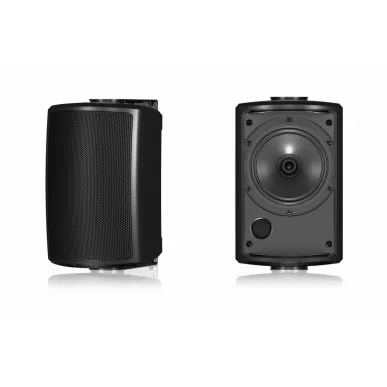 Настенная акустика Tannoy AMS 5DC (black)